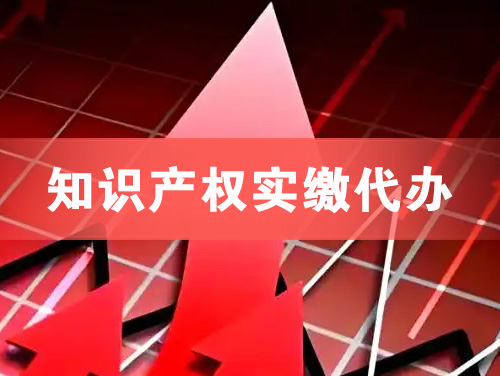 知识产权实缴资本代办